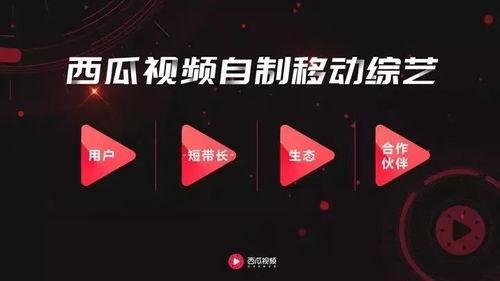 娱乐吃瓜酱如何制作视频,轻松制作视频教程全解析